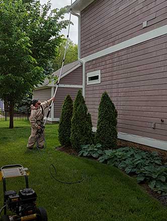 Professional Soft Washing Services