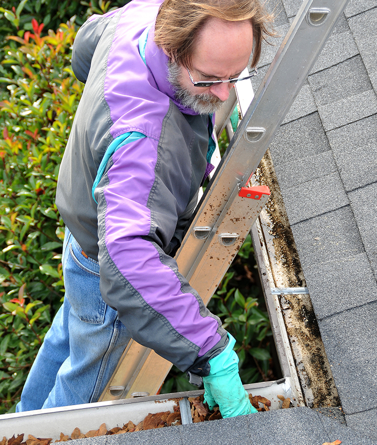 Gutter Cleaning Service in Carmel IN
