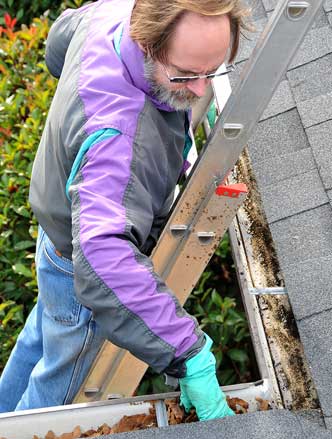 Professional Gutter Cleaning Services